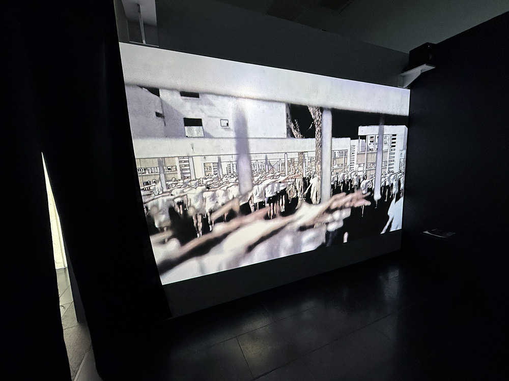 Image de l'œuvre